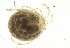  ( - MARB_UIB_1078)  @11 [ ] copyright (2023) Bergen Museum Bergen Museum