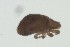  ( - MARB_UIB_1463)  @11 [ ] copyright (2023) Bergen Museum Bergen Museum