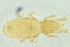  ( - MARB_UIB_1468)  @11 [ ] copyright (2023) Bergen Museum Bergen Museum