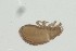  ( - MARB_UIB_1489)  @11 [ ] copyright (2023) Bergen Museum Bergen Museum