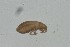  ( - MARB_UIB_1500)  @11 [ ] copyright (2023) Bergen Museum Bergen Museum
