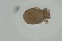  ( - MARB_UIB_1504)  @11 [ ] copyright (2023) Bergen Museum Bergen Museum