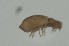  ( - MARB_UIB_1507)  @11 [ ] copyright (2023) Bergen Museum Bergen Museum