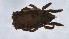  ( - MARB_UIB_257)  @11 [ ] copyright (2021) Bergen Museum Bergen Museum