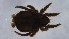  ( - MARB_UIB_278)  @11 [ ] copyright (2021) Bergen Museum Bergen Museum