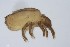  ( - MARB_UIB_330)  @11 [ ] copyright (2021) Bergen Museum Bergen Museum