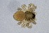  ( - MARB_UIB_383)  @11 [ ] copyright (2021) Bergen Museum Bergen Museum