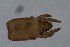  ( - MARB_UIB_465)  @11 [ ] copyright (2018) Bergen Museum Bergen Museum