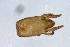  ( - MARB_UIB_468)  @11 [ ] copyright (2018) Bergen Museum Bergen Museum
