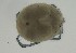  ( - MARB_UIB_738)  @11 [ ] copyright (2023) Bergen Museum Bergen Museum