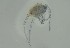  ( - MARB_UIB_908)  @11 [ ] copyright (2023) Bergen Museum Bergen Museum