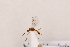  (Aleiodes leptofemur - MRS1096)  @11 [ ] CreativeCommons - Attribution Share-Alike (2022) Unspecified Redeemer University