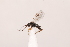  ( - MRS_JFT1043)  @11 [ ] CreativeCommons - Attribution Share-Alike (2023) Unspecified Canadian National Collection of Insects, Arachnids and Nematodes