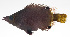  ( - MARQ-075)  @11 [ ] CreativeCommons  Attribution Non-Commercial (by-nc) (2011) Unspecified Smithsonian Institution National Museum of Natural History
