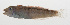  ( - MARQ-313)  @11 [ ] CreativeCommons  Attribution Non-Commercial (by-nc) (2011) Unspecified Smithsonian Institution National Museum of Natural History