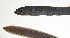  ( - MARQ-324)  @11 [ ] CreativeCommons  Attribution Non-Commercial (by-nc) (2011) Unspecified Smithsonian Institution National Museum of Natural History