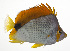 ( - MARQ-372)  @11 [ ] CreativeCommons  Attribution Non-Commercial (by-nc) (2011) Unspecified Smithsonian Institution National Museum of Natural History
