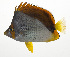  ( - MARQ-373)  @11 [ ] CreativeCommons  Attribution Non-Commercial (by-nc) (2011) Unspecified Smithsonian Institution National Museum of Natural History