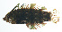  ( - MARQ-390)  @11 [ ] CreativeCommons  Attribution Non-Commercial (by-nc) (2011) Unspecified Smithsonian Institution National Museum of Natural History