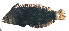  ( - MARQ-391)  @11 [ ] CreativeCommons  Attribution Non-Commercial (by-nc) (2011) Unspecified Smithsonian Institution National Museum of Natural History