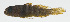  ( - MARQ-448)  @11 [ ] CreativeCommons  Attribution Non-Commercial (by-nc) (2011) Unspecified Smithsonian Institution National Museum of Natural History