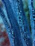  ( - RMNH.COEL.42410)  @11 [ ] CreativeCommons - Attribution Non-Commercial Share-Alike (2015) Unspecified Naturalis Biodiversity Center