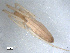  ( - NIBGE SPD-00080)  @12 [ ] Copyright  G. Blagoev 2010 Unspecified