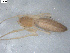  ( - NIBGE SPD-00084)  @12 [ ] Copyright  G. Blagoev 2010 Unspecified