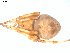  ( - NIBGE SPD-00085)  @12 [ ] Copyright  G. Blagoev 2010 Unspecified
