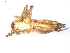  ( - NIBGE SPD-00093)  @12 [ ] Copyright  G. Blagoev 2010 Unspecified