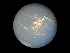  (Theridion sp. 1GAB_PAK - NIBGE SPD-00996)  @12 [ ] CreativeCommons - Attribution Non-Commercial Share-Alike (2012) M. Sajjad Mirza National Institute for Biotechnology and Genetic Engineering Faisalabad Pakistan