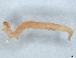  ( - BIOUG73618-B07)  @11 [ ] CreativeCommons - Attribution (2022) CBG Photography Group Centre for Biodiversity Genomics