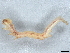  ( - BIOUG73618-D10)  @11 [ ] CreativeCommons - Attribution (2022) CBG Photography Group Centre for Biodiversity Genomics
