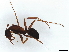  ( - BIOUG73632-E06)  @11 [ ] CreativeCommons - Attribution (2022) CBG Photography Group Centre for Biodiversity Genomics