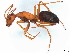  ( - BIOUG73632-E07)  @11 [ ] CreativeCommons - Attribution (2022) CBG Photography Group Centre for Biodiversity Genomics