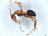  ( - BIOUG73632-E09)  @11 [ ] CreativeCommons - Attribution (2022) CBG Photography Group Centre for Biodiversity Genomics