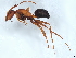  ( - BIOUG73632-E10)  @11 [ ] CreativeCommons - Attribution (2022) CBG Photography Group Centre for Biodiversity Genomics