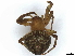  ( - BIOUG73632-G01)  @11 [ ] CreativeCommons - Attribution (2022) CBG Photography Group Centre for Biodiversity Genomics