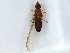 ( - BIOUG80111-B01)  @11 [ ] CreativeCommons - Attribution (2022) CBG Photography Group Centre for Biodiversity Genomics