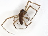  ( - BIOUG81842-G06)  @11 [ ] CreativeCommons - Attribution (2022) CBG Photography Group Centre for Biodiversity Genomics