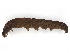  ( - BIOUG81842-H09)  @11 [ ] CreativeCommons - Attribution (2022) CBG Photography Group Centre for Biodiversity Genomics