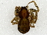  ( - BIOUG93337-E02)  @11 [ ] CreativeCommons - Attribution (2022) CBG Photography Group Centre for Biodiversity Genomics