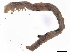  ( - BIOUG95001-B07)  @11 [ ] CreativeCommons - Attribution (2022) CBG Photography Group Centre for Biodiversity Genomics