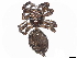  ( - BIOUG97739-D10)  @11 [ ] CreativeCommons - Attribution Non-Commercial Share-Alike (2023) CBG Photography Group Centre for Biodiversity Genomics