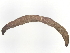  ( - BIOUG99526-C08)  @11 [ ] CreativeCommons - Attribution (2023) CBG Photography Group Centre for Biodiversity Genomics