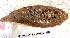  ( - Mau24-39)  @11 [ ] copyright © (2024) Nene Galle Kide Institut Superieur des Sciences de la Mer