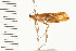  ( - 08MBCAD-0111)  @13 [ ] CreativeCommons - Attribution (2008) Unspecified Centre for Biodiversity Genomics