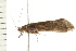 ( - 08MBCAD-0014)  @13 [ ] CreativeCommons - Attribution (2008) Unspecified Centre for Biodiversity Genomics