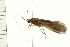  ( - 08MBCAD-0020)  @13 [ ] CreativeCommons - Attribution (2008) Unspecified Centre for Biodiversity Genomics