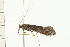  ( - 08MBCAD-0044)  @13 [ ] CreativeCommons - Attribution (2008) Unspecified Centre for Biodiversity Genomics